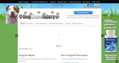 Desktop Screenshot of dogkneeinjury.com